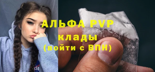 твердый Горняк