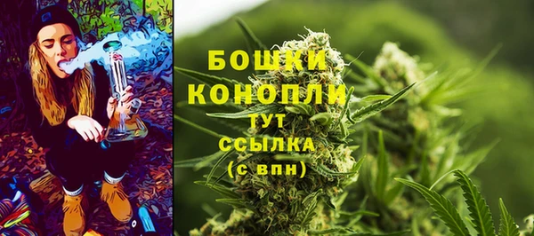 твердый Горняк